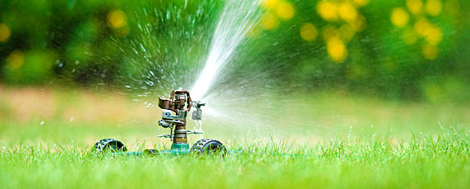 sprinkler watering grass - One Toronto Plumbing