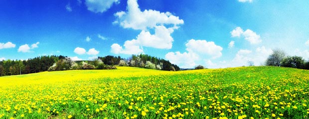 spring plumbing approaches