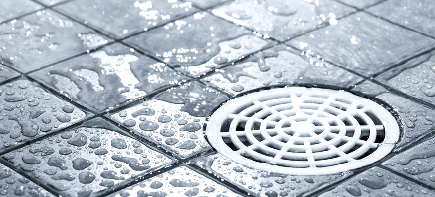 dirty shower drain in need of a cleaning