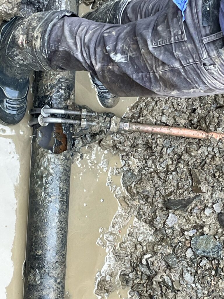 img 1942 original scaled 1