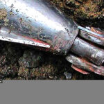 pipe bursting